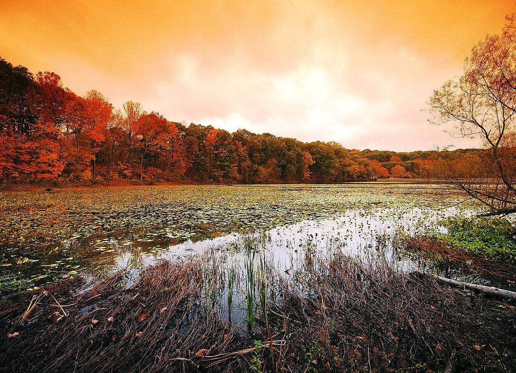 Ohio State Fall This Ohio State Park Might Be The Best Spot For Fall Leaf Peeping