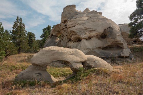 A unique rock formation with an arch, surrounded by grassy terrain and pine trees under a cloudy sky.