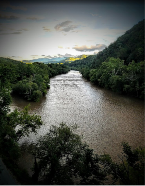 A serene river flows through lush green trees, with mountains in the background under a cloudy sky.