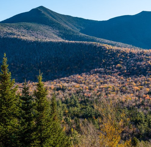 A scenic view of mountains covered in autumn foliage, with evergreen trees in the foreground.