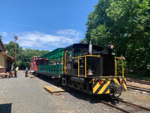 A black and yellow train engine with a green passenger car parked at a station surrounded by trees and blue sky.
