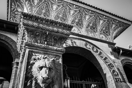 A detailed stone pillar featuring a lion's face, with ornate architecture in the background. Black and white image.