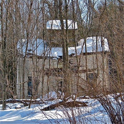 An abandoned house partially hidden by trees and snow, with a dilapidated roof and weathered exterior.