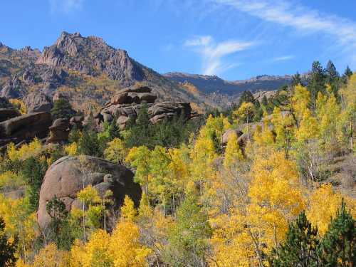 Vibrant autumn landscape with golden aspen trees, rocky formations, and mountains under a blue sky.