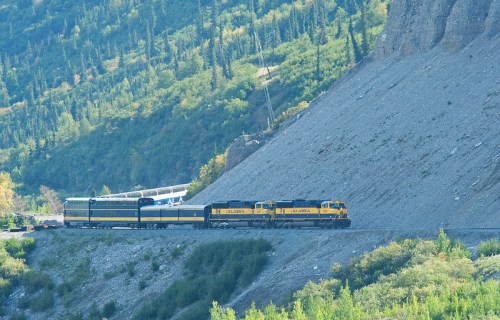 A yellow and black train travels along a mountain track, surrounded by lush greenery and steep slopes.