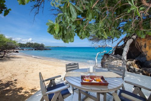 A beachside table with drinks, surrounded by trees and a clear blue ocean under a sunny sky.