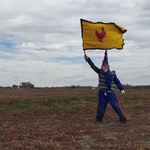 A person in a colorful costume holds a yellow flag with a red chicken symbol in a field under a cloudy sky.
