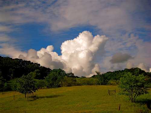 A lush green field under a blue sky with fluffy white clouds and distant hills.