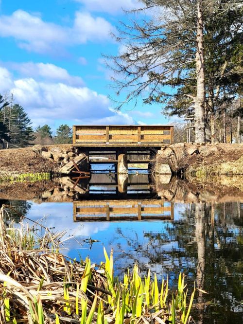 A wooden bridge reflects in calm water, surrounded by trees and greenery under a blue sky with scattered clouds.
