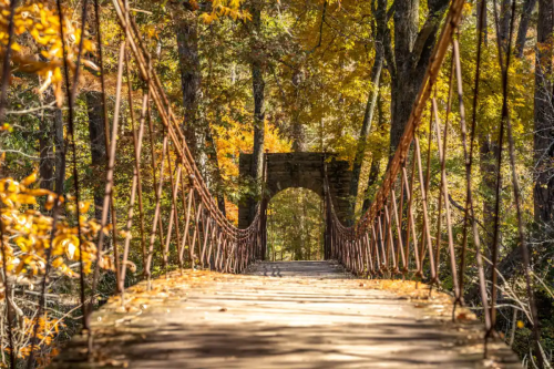 A rustic suspension bridge surrounded by vibrant autumn foliage and trees, leading to a stone archway in the distance.