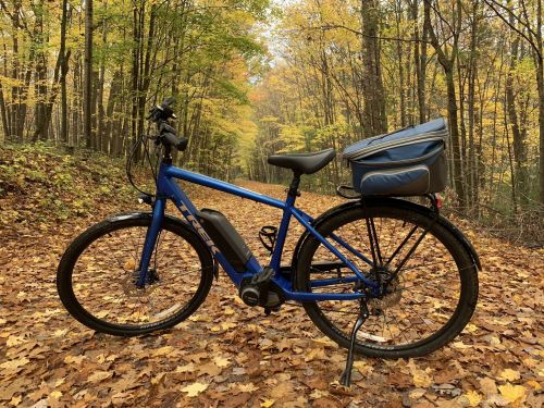 A blue bicycle parked on a leaf-covered path surrounded by autumn trees.