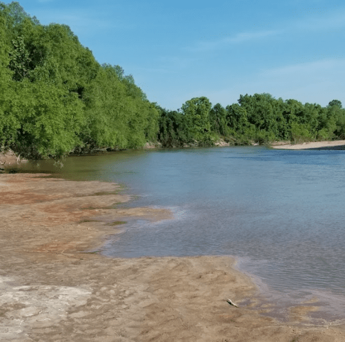 A serene riverbank with sandy shorelines and lush green trees under a clear blue sky.