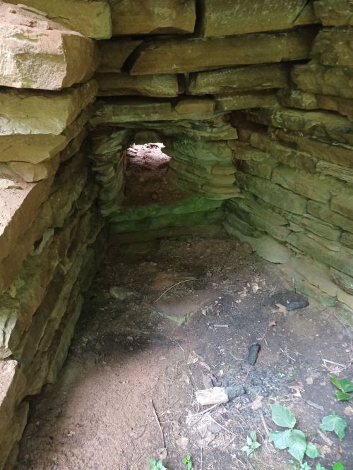 A narrow stone passageway leading into a dimly lit, natural cave or tunnel surrounded by earth and vegetation.