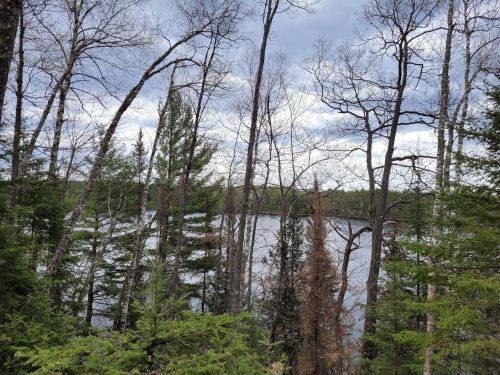 A serene view of a lake surrounded by trees under a cloudy sky, showcasing nature's tranquility.