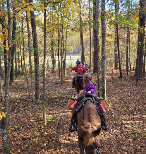 A group of people riding horses through a colorful autumn forest with fallen leaves on the ground.