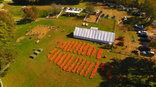Aerial view of a pumpkin patch with rows of pumpkins, a large tent, and parked cars in a grassy area.