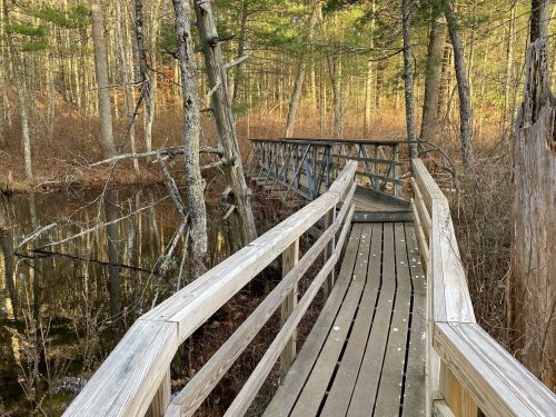 A wooden boardwalk winds through a forested area, leading over a calm waterway surrounded by trees.