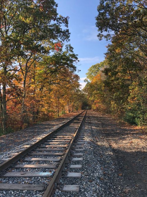 A scenic view of a railway track surrounded by colorful autumn trees under a clear blue sky.