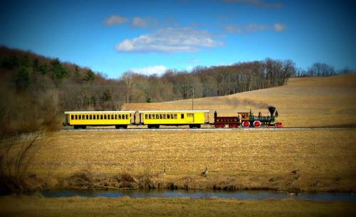 A vintage steam train with yellow passenger cars travels through a rural landscape with fields and trees.