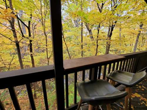 View from a balcony with two chairs, surrounded by vibrant autumn trees with yellow leaves.