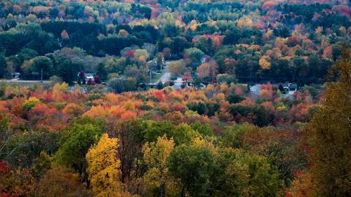 A vibrant autumn landscape with trees in shades of red, orange, and yellow, overlooking a small town in the distance.
