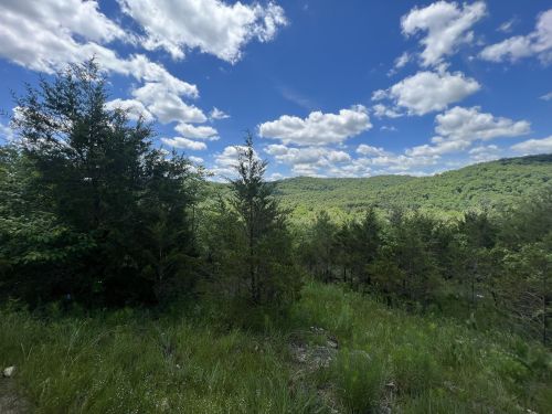 Lush green landscape with trees and rolling hills under a bright blue sky with fluffy white clouds.