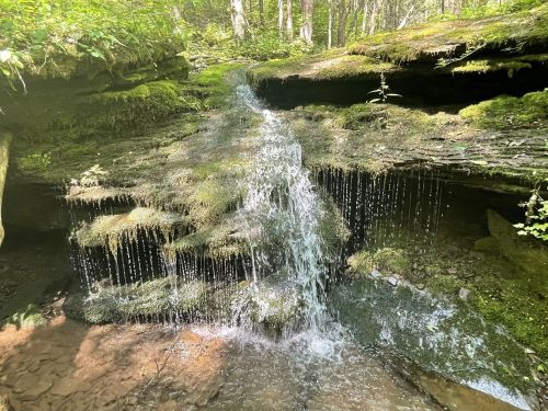 A small waterfall cascades over moss-covered rocks in a lush, green forest. Sunlight filters through the trees.