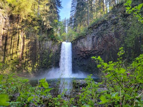 A serene waterfall cascades down rocky cliffs, surrounded by lush greenery and tall trees under a clear blue sky.