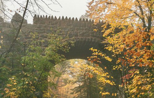 A stone bridge with a pointed arch surrounded by vibrant autumn foliage.