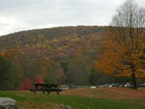 A scenic view of a hillside covered in autumn foliage, with a picnic table in the foreground and cars parked nearby.