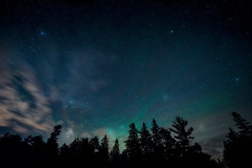 A starry night sky with clouds and silhouettes of trees in the foreground, showcasing vibrant colors and celestial bodies.