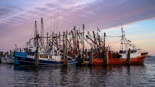 Fishing boats docked at a harbor during sunset, with colorful skies and masts silhouetted against the horizon.