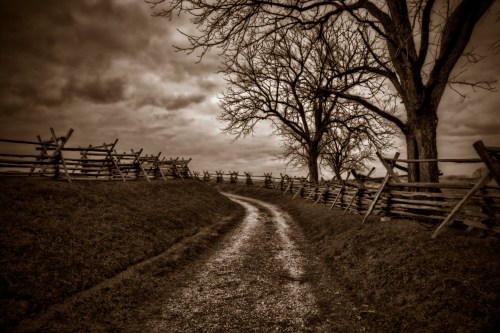 A winding dirt path bordered by wooden fences and bare trees under a cloudy sky, creating a serene, rustic landscape.