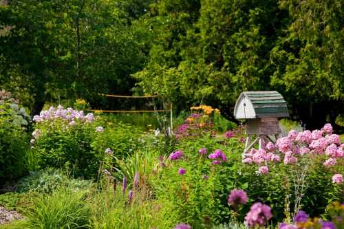 A vibrant garden filled with colorful flowers and a small birdhouse surrounded by lush greenery.