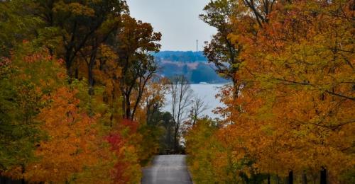 A scenic view of a tree-lined path with vibrant autumn foliage leading to a lake in the distance.