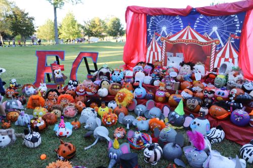 A colorful display of creatively decorated pumpkins in a park, featuring various animal and character designs.