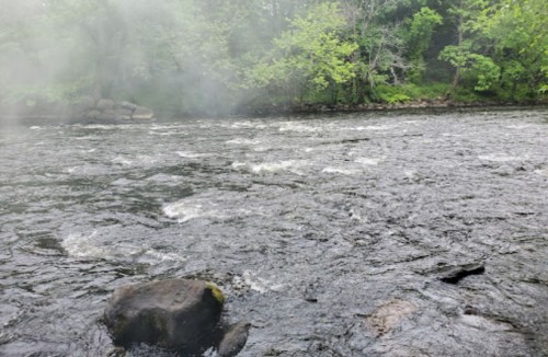 A serene river flows through a lush green landscape, with mist rising from the water's surface.