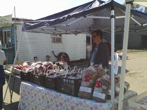 A farmer's market stall with a blue canopy, featuring baskets of produce and two vendors chatting.