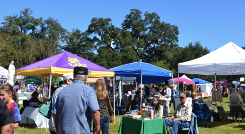 A vibrant outdoor market scene with colorful tents, people browsing, and trees in the background under a clear blue sky.