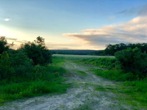 A dirt path leads through lush greenery towards a serene landscape under a colorful sky at sunset.