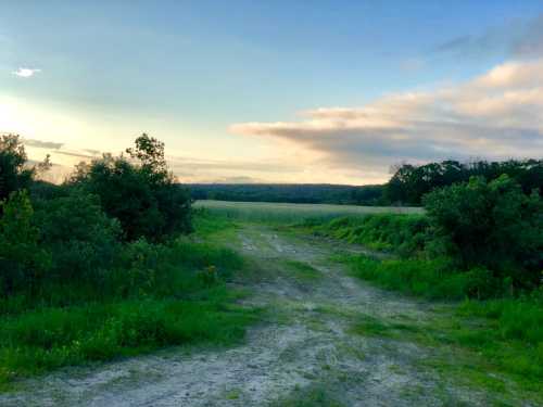 A dirt path leads through lush greenery towards a serene landscape under a colorful sky at sunset.