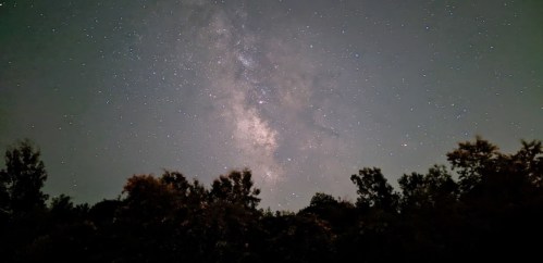 A starry night sky filled with stars and the Milky Way, framed by silhouettes of trees at the bottom.