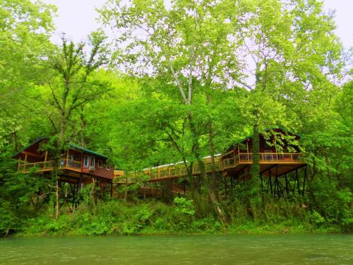 Two elevated cabins surrounded by lush green trees, overlooking a calm river.