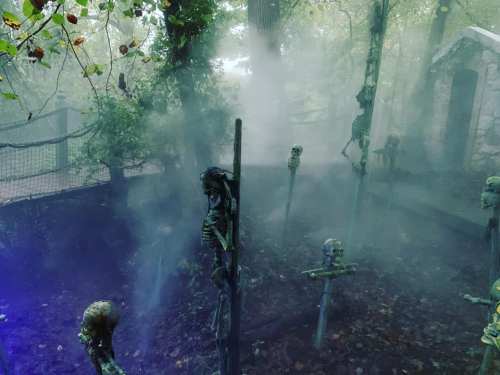A foggy graveyard scene with skeletons and eerie tombstones surrounded by trees.