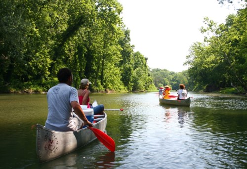 Two canoes paddle down a serene river surrounded by lush green trees on a sunny day.