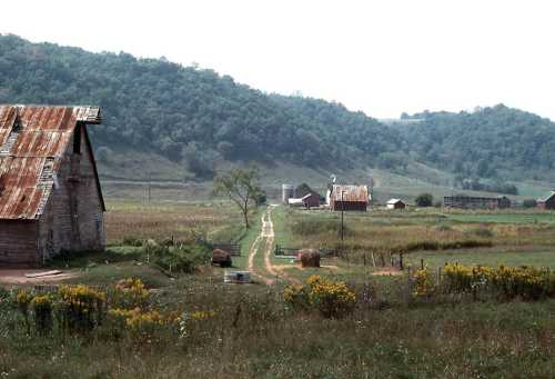 A rural landscape featuring a dirt path, barns, and rolling green hills under a cloudy sky. Wildflowers in the foreground.