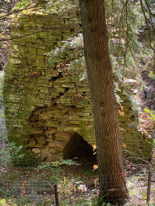 Ruins of a stone structure partially covered by moss, surrounded by trees and greenery.