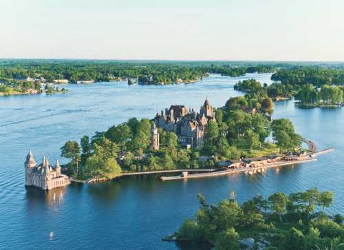 Aerial view of a lush island with a grand castle surrounded by water and greenery.