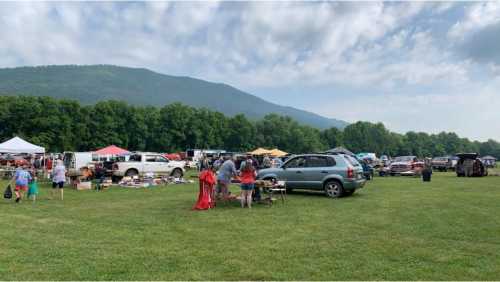 A bustling outdoor flea market with vendors, shoppers, and vehicles set against a backdrop of green hills and cloudy skies.