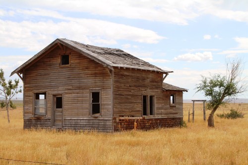 A weathered wooden house stands in a field of tall grass under a cloudy sky, with a few trees nearby.